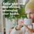 Sugar Free Coffee Creamer & Drink Mix Sample Pack